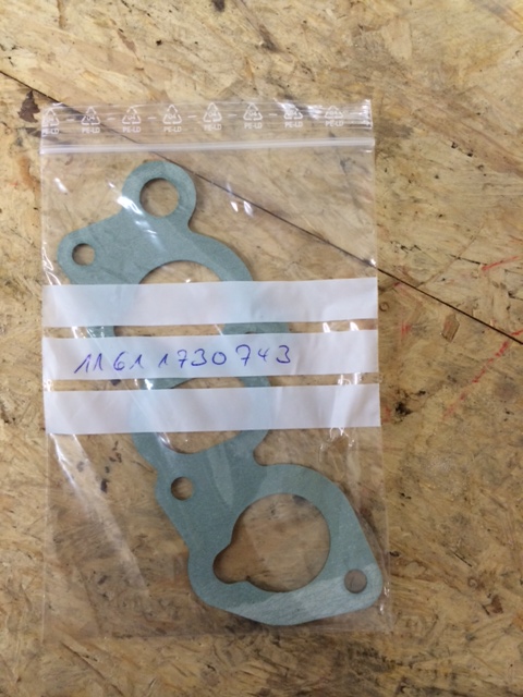 Ansaugbrücke Dichtung